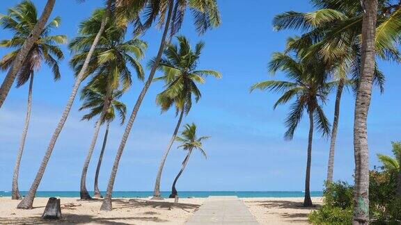 澳门海滩碧蓝的海水和石崖多米尼加共和国空中