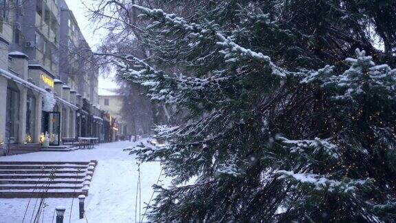 城里下雪了有彩灯的圣诞树