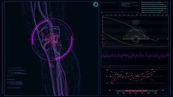 未来实验室内部屏幕与人体模型扫描虚拟病人肘部损伤近距离