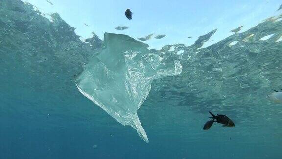 漂浮在海上的塑料袋