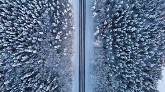 冬天瑞典田园诗般的乡村公路
