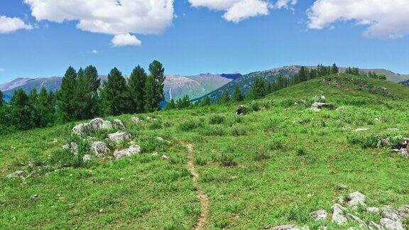 美丽的新疆草原和山地景观