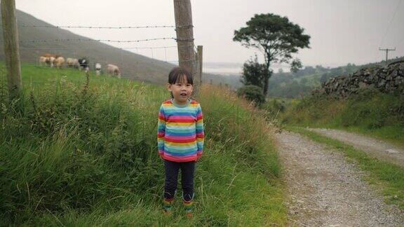 在北爱尔兰乡下玩耍的小女孩