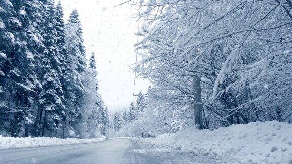 汽车在暴风雪中穿过森林