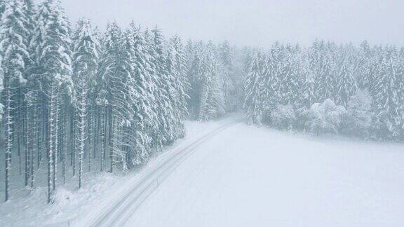 白雪覆盖的树木环绕着白色的道路