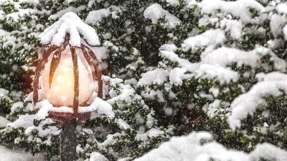美丽的冬日贺卡用树盖雪街灯和慢动作雪