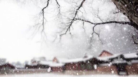 下雪的景福宫冬季风景