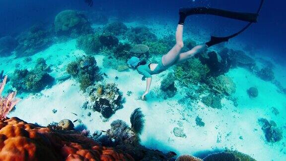 在印度尼西亚的科莫多国家公园里自由潜水员在生动的珊瑚礁上滑翔