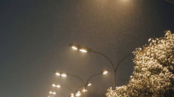 城市里的雪夜