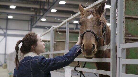 一个年轻女人在摸一匹马