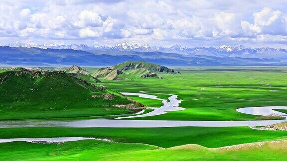 中国新疆的绿色草原和河流自然景观