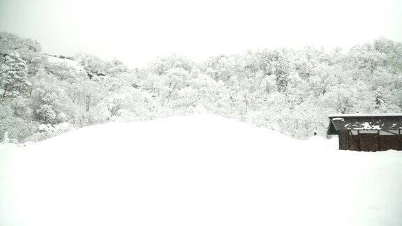 白川村白雪覆盖的白色田野中一所日本房子