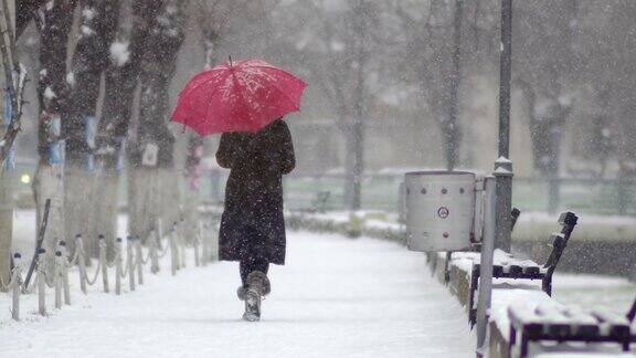 一个美丽的冬季雪景一个女人带着一把粉红色的雨伞雪附着在树上