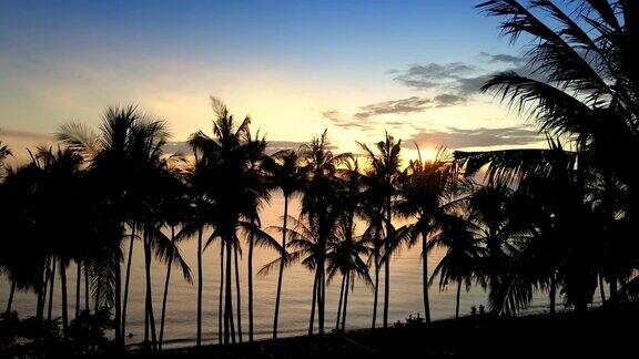 从无人机鸟瞰海上海岸棕榈树在海滩上巴厘岛印度尼西亚日出