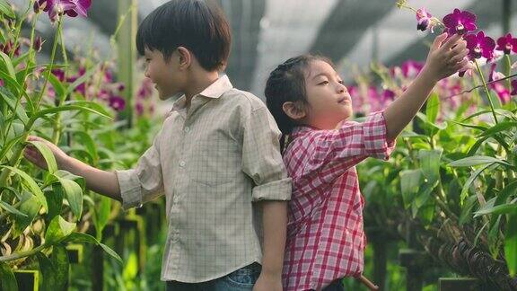小亚洲男孩和女孩有乐趣在兰花农场