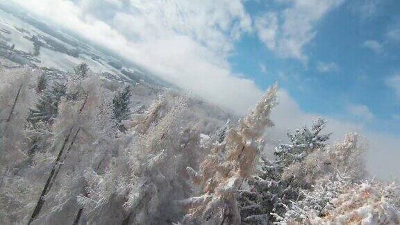 FPV无人机:深秋第一场雪后的森林树木、草地和山谷