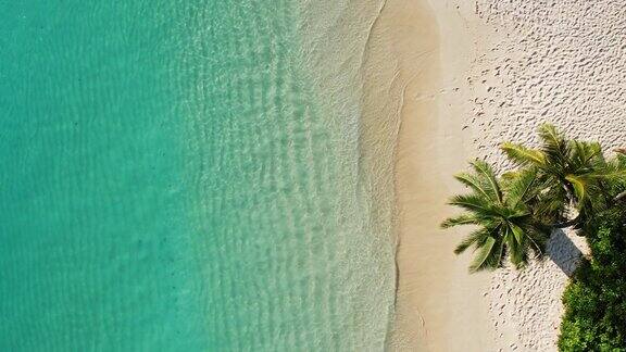 鸟瞰白色沙滩和棕榈树的热带海滩