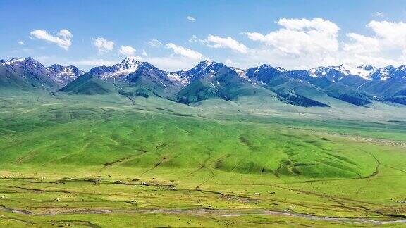 中国新疆绿色草原和山脉的航拍镜头