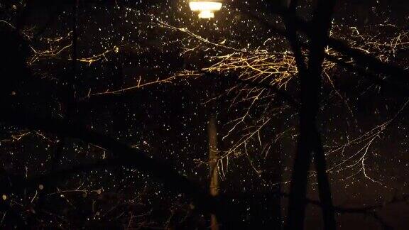晚上雨背景雨点与湿雪被路灯照亮