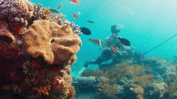男性的保持者亚洲男性自由潜水员在水下游泳探索印度尼西亚巴厘岛附近的健康珊瑚礁