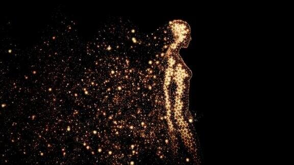 一个女性人体的金色多边形全息图行走在黑色的背景上在侧影上留下金色微粒的痕迹