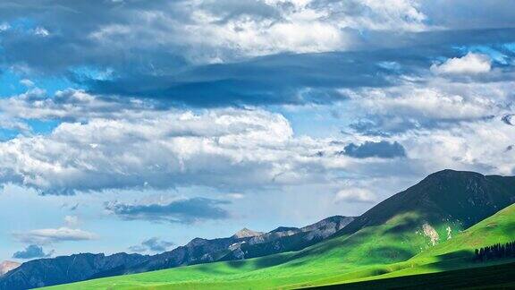 美丽的草原和天空在夏天云自然风景