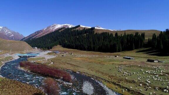 新疆秋季草原和雪山的航拍