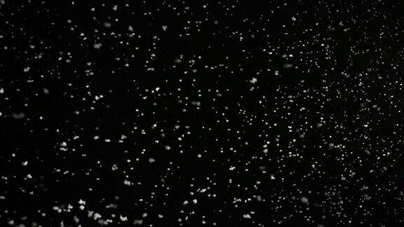 暴风雨的天气下雪大雪花孤立在黑色的背景真实的镜头光晕很容易使用混合叠加模式