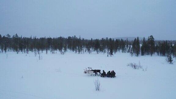 人们坐着驯鹿雪橇在厚厚的雪地上