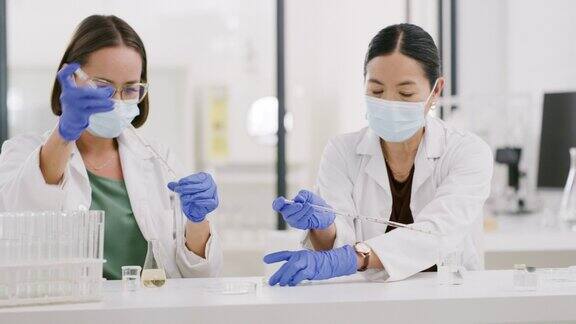妇女、科学和实验室、疫苗研究用试管和移液器、药物开发和药物创新分析亚洲科学家化学研究和团队化学