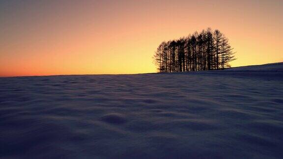 空中-黎明的雪地和远处的树木