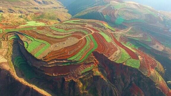 中国云南的高空水稻田