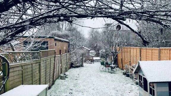 伦敦郊区住宅后花园飘落的雪花