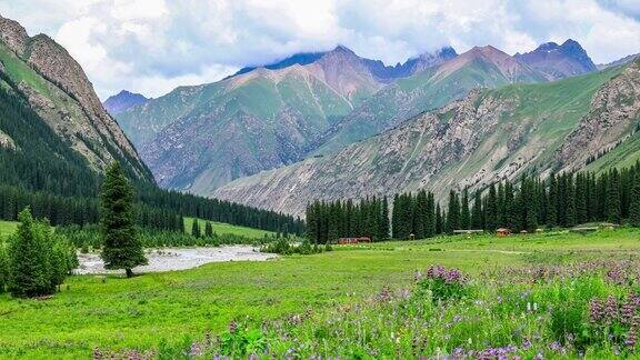 新疆有美丽的山花自然景观