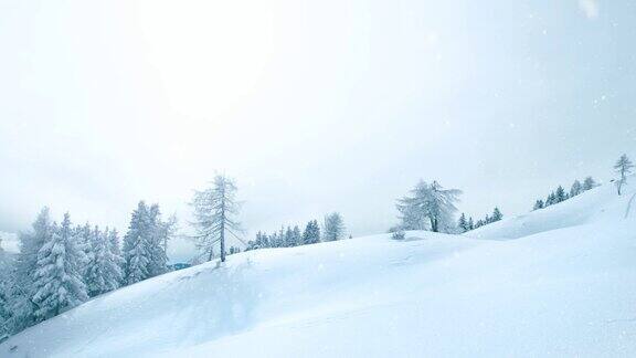 在下雪期间美丽的山顶积雪景观