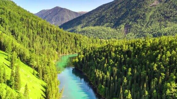 一条蓝宝石色的河流流过丛林