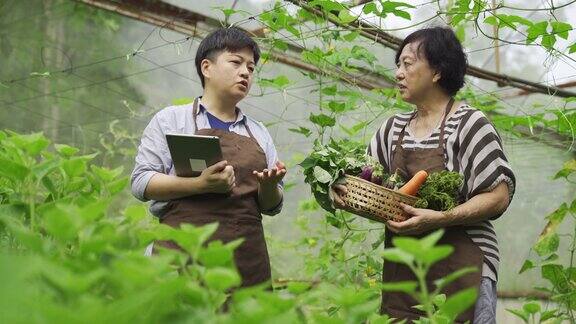 一名亚洲华裔女性中年妇女在温室里和母亲一起用平板电脑检查她的水果