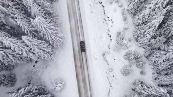 冬季空中旅行在积雪覆盖的松树林地在山上滑雪度假