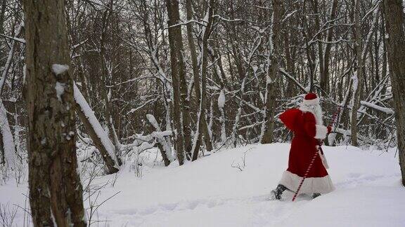 圣诞老人带着魔法杖和圣诞礼物袋走在雪林里