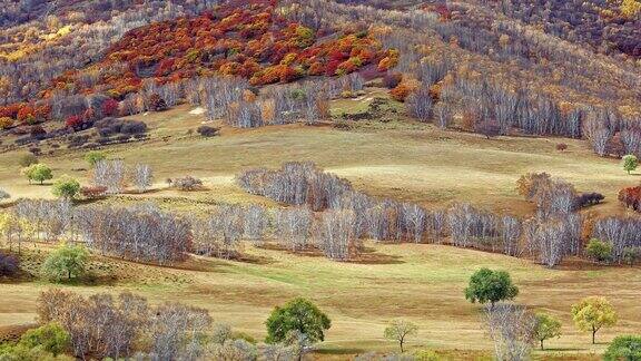 美丽的新疆草原自然景观
