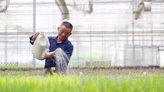 园丁在温室里浇水