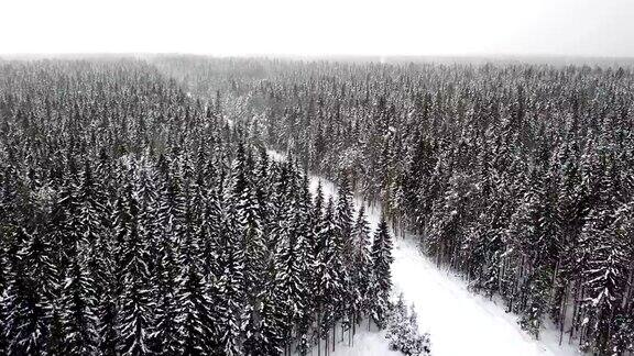 冬天在雪地里飞过松林