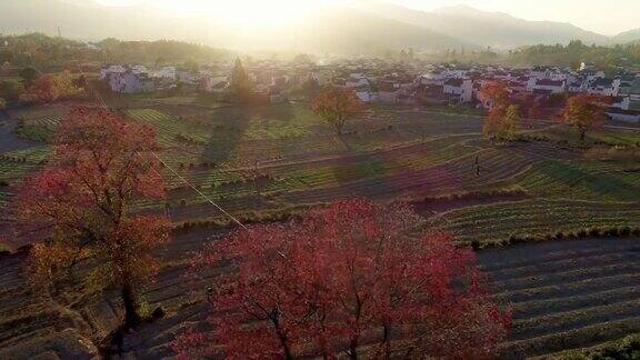 中国安徽鲁村的乡村景观