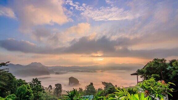 热带雨林的晨雾和日出