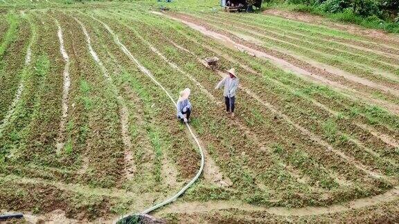 一位老人和他的儿子早上在农场例行工作