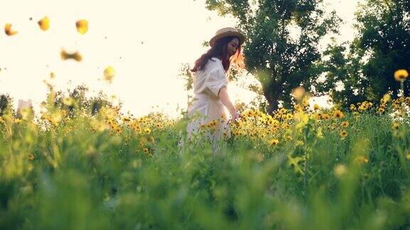 美丽的年轻女子在夕阳下的黄花草地上穿着白衣