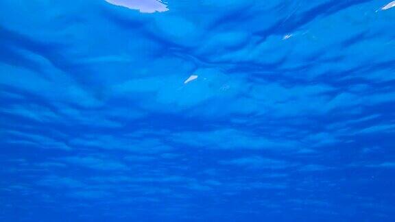 蓝色的水面上有小波浪蓝色的海洋水下拍摄水下的背景