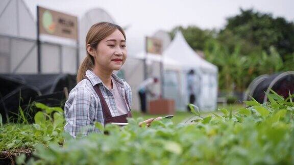 年轻的亚洲农民使用笔记本电脑检查她的农场在温室Z世代在农村拥有可持续的生活方式