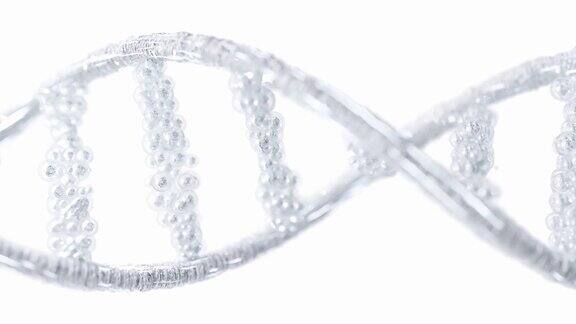 银色的DNA分子由颗粒选择性聚焦在白色背景和绿色屏幕上科学还是化妆品行业元素的动画
