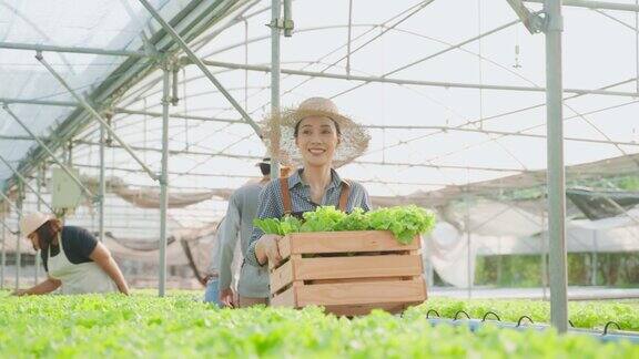 亚洲美女农民在蔬菜水培绿色农场工作迷人的农工女孩提着一篮子沙拉幸福地走进温室农业经营理念